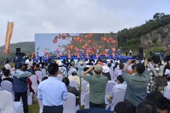 一步丰硕四时从题